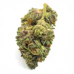Rock Bubba AAAA