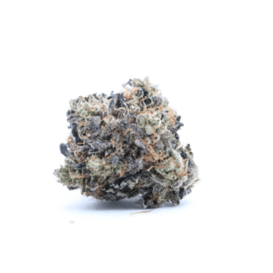 skunk 47