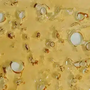 White Rhino Shatter