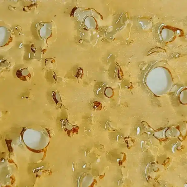 White Rhino Shatter