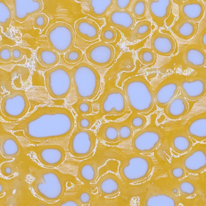 Pink Kush Shatter Product Photo Aug 2024