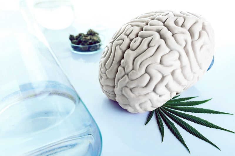 How Does Marijuana Affect Motivation and Brain’s Dopamine