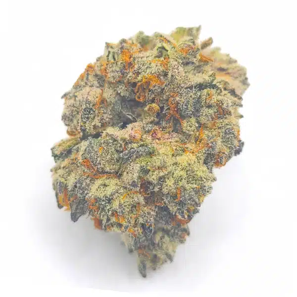 Oreoz AAAA Product Photo April 2025
