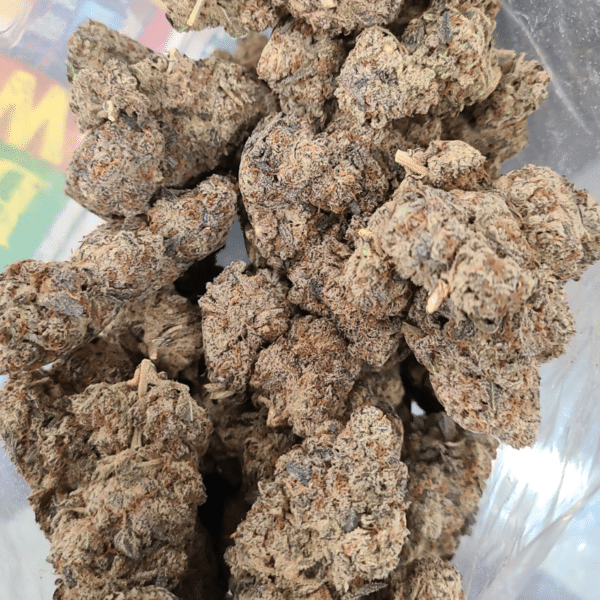 Animal Mints AA Strain Photo in Bag