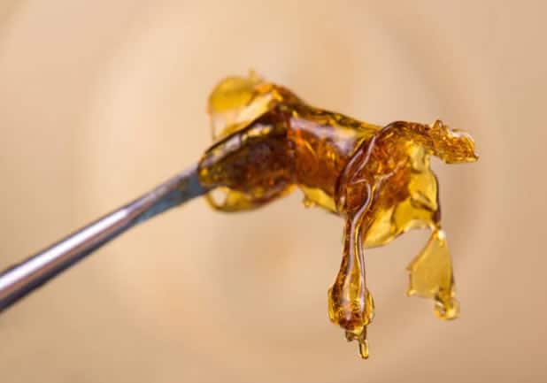 Cannabis Shatter