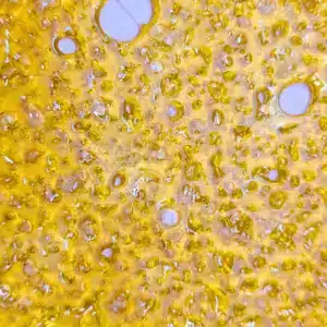 Pink Kush Shatter Product Photo Mar 2025