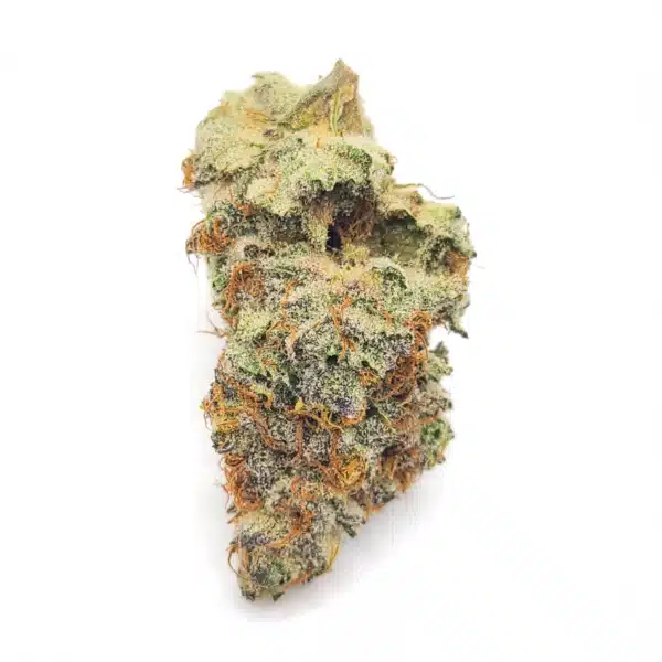 LA Platinum AAAA Product Photo August 2024