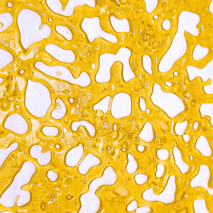 Lindsay OG Shatter Product Photo September 2024