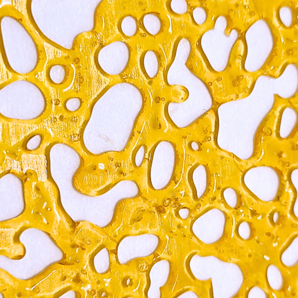 Pink Champagne Shatter Product Photo September 2024