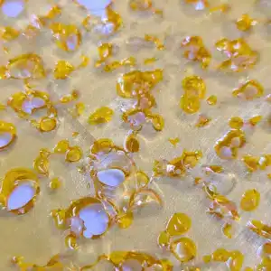 Purple Punch Shatter Product Photo October 2024