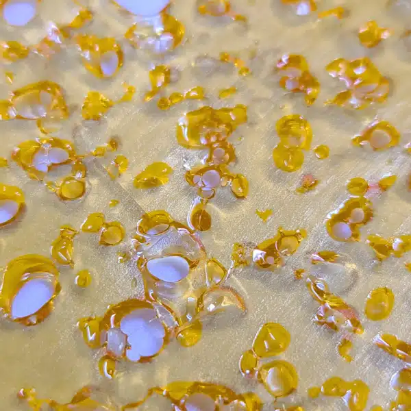 Purple Punch Shatter Product Photo October 2024