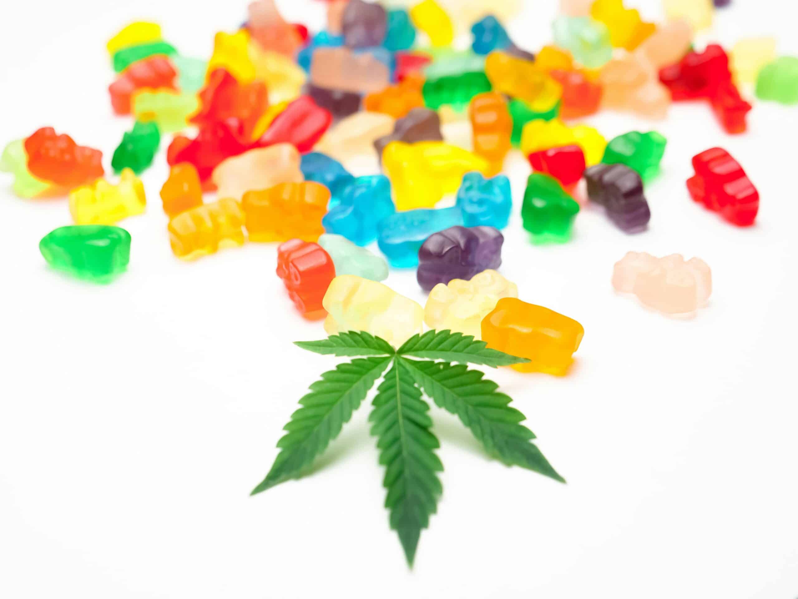 Edibles for Beginners: A Simple Guide to Start