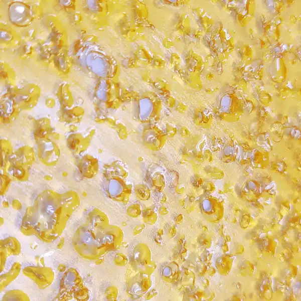 Sensi Star Shatter Product Photo November 2024