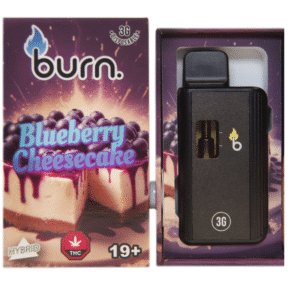 Burn Disposable Vape Pen Blueberry Cheesecake Product Photo