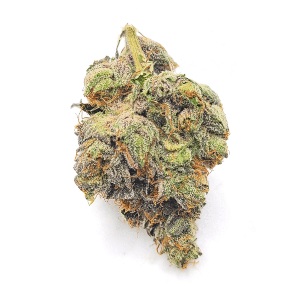 Godfather OG Product Photo Dec 2024