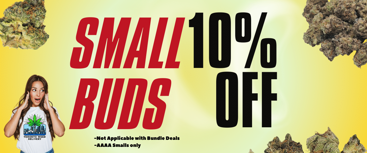 small buds 10% off (3)