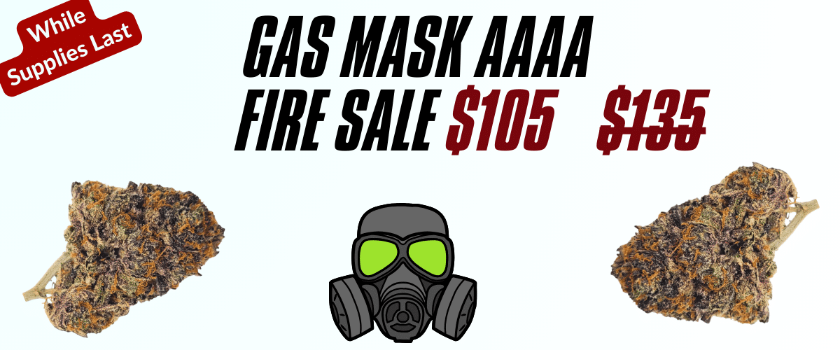 gasmaskaaaa