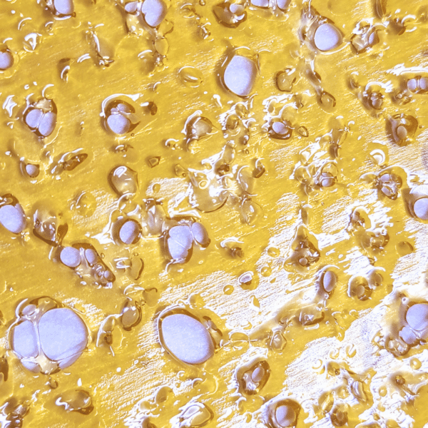 Locktite Shatter Product Photo Feb 2025