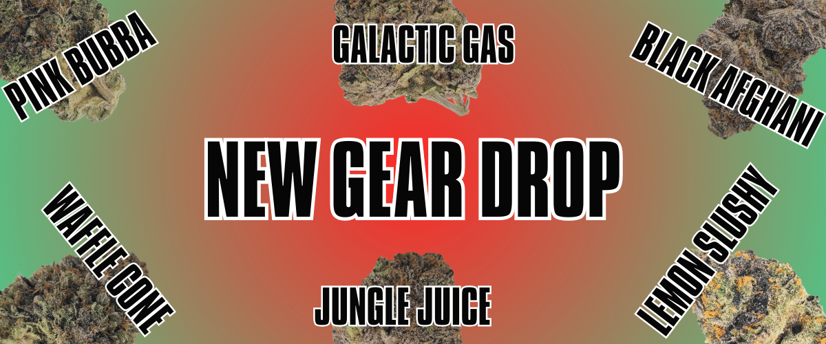 New Gear Drop