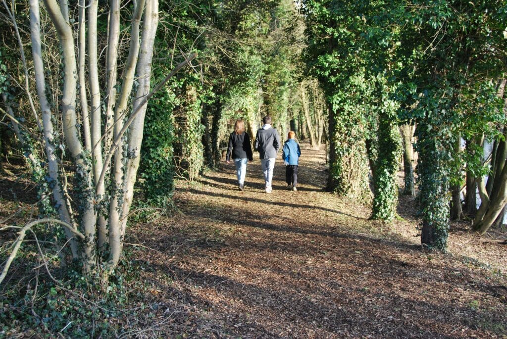 Discover Peaceful Walking Trails in Markham for Relaxation