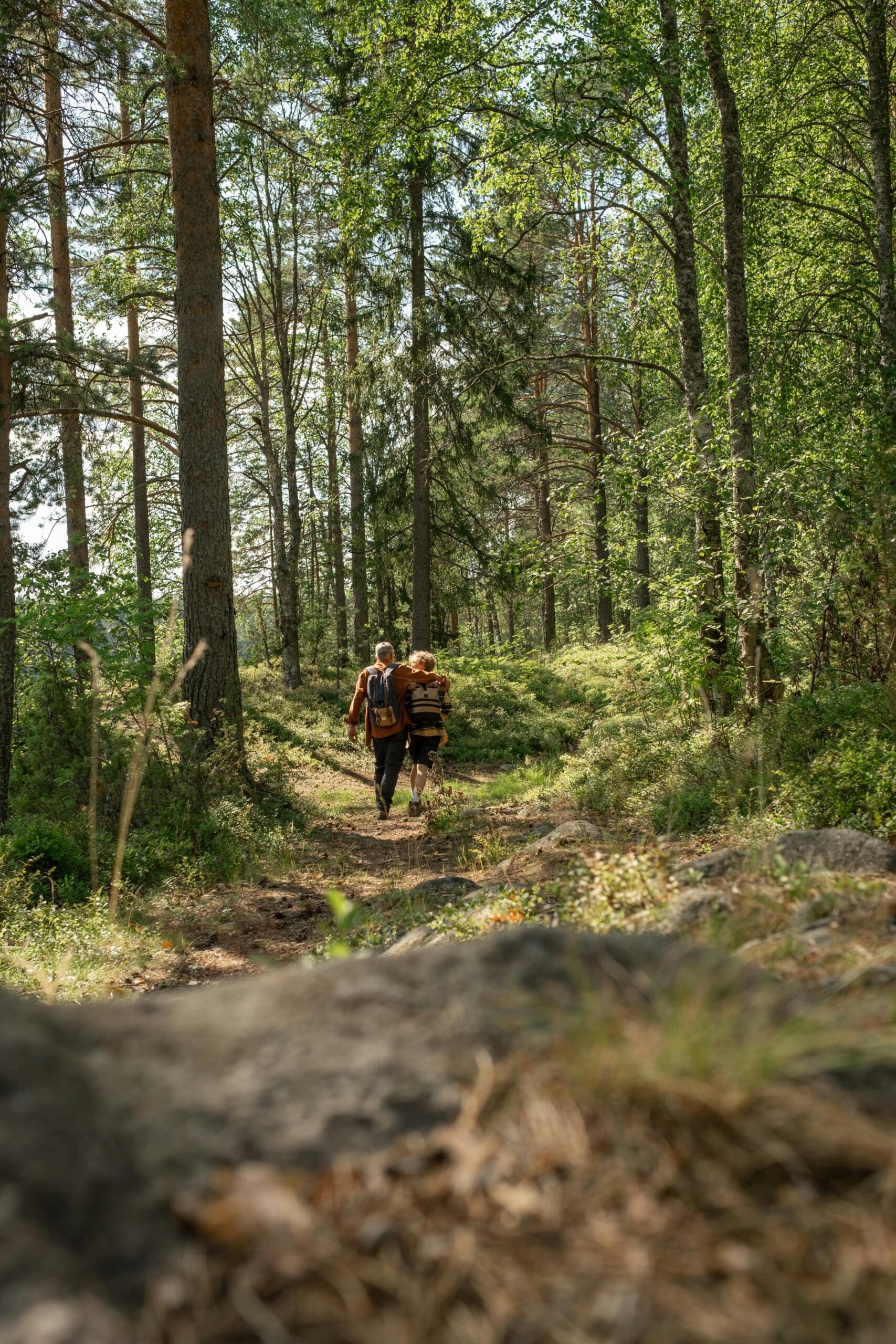 Top Scenic Walking Trails Around Rouge Valley