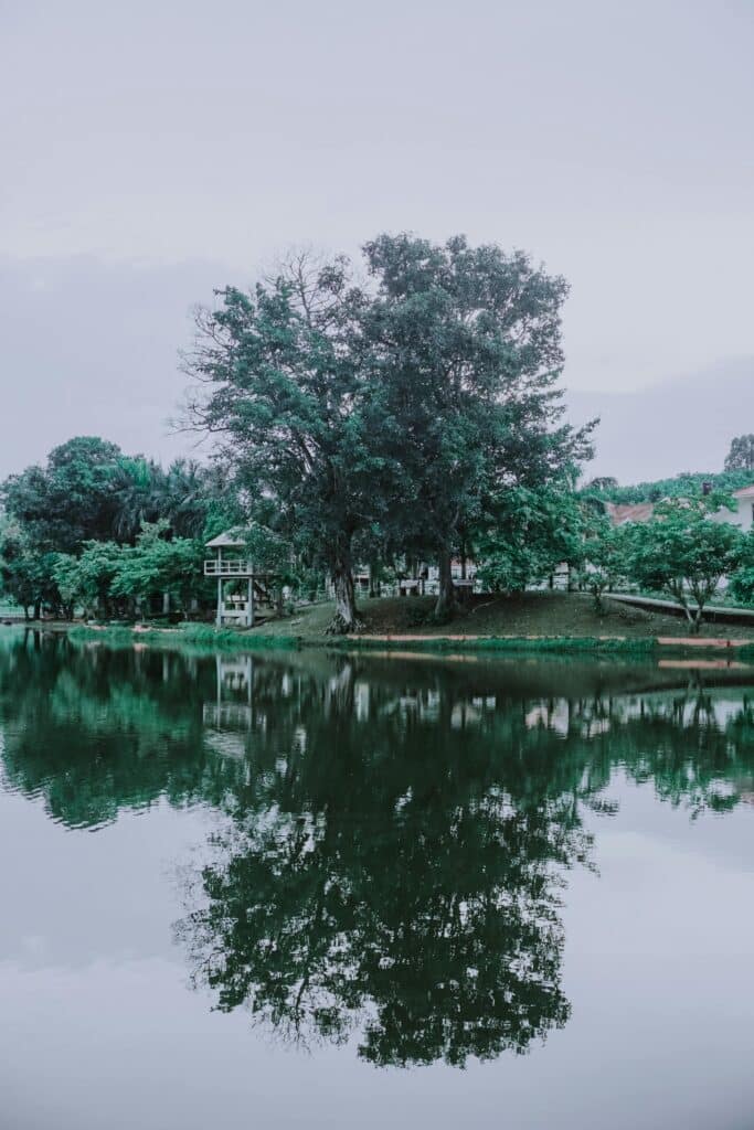 Explore Mill Pond Park: A Haven for Richmond Hill Relaxation