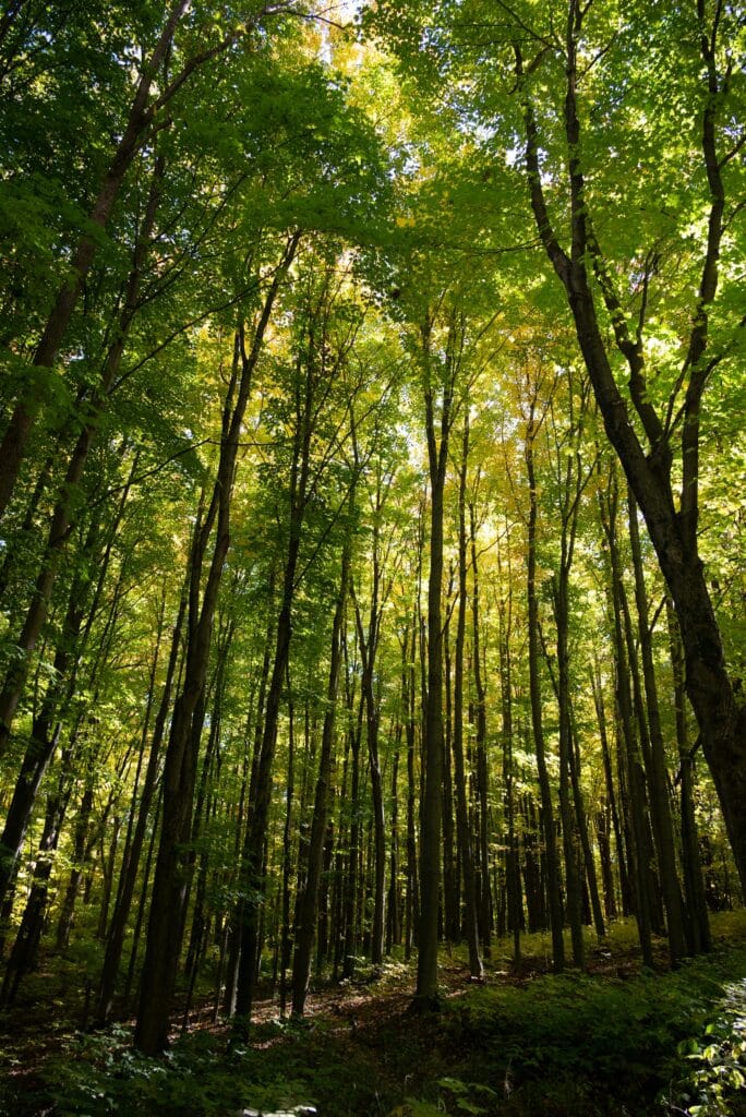 Exploring the Importance of the Oak Ridges Moraine