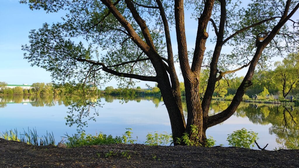 Explore Lake Wilcox Park: A Haven for Outdoor Enthusiasts