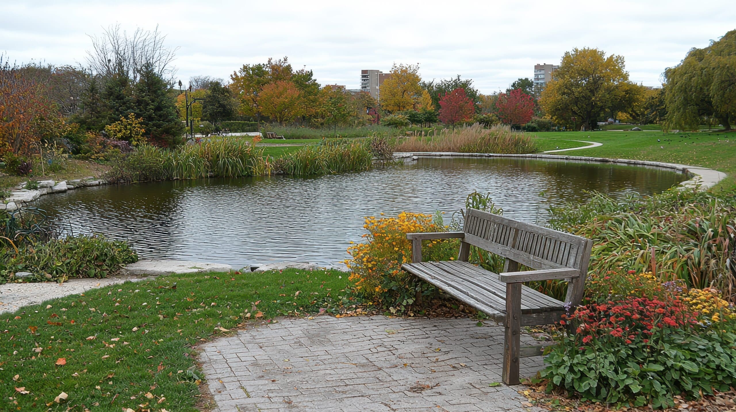 Top 7 Best Picnic Spots in Markham for Relaxing Outdoors