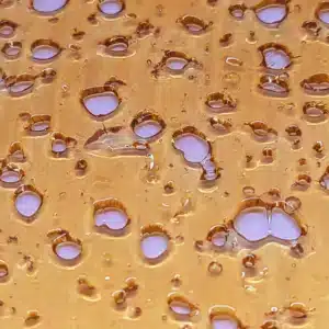 Black Cherry Punch Shatter