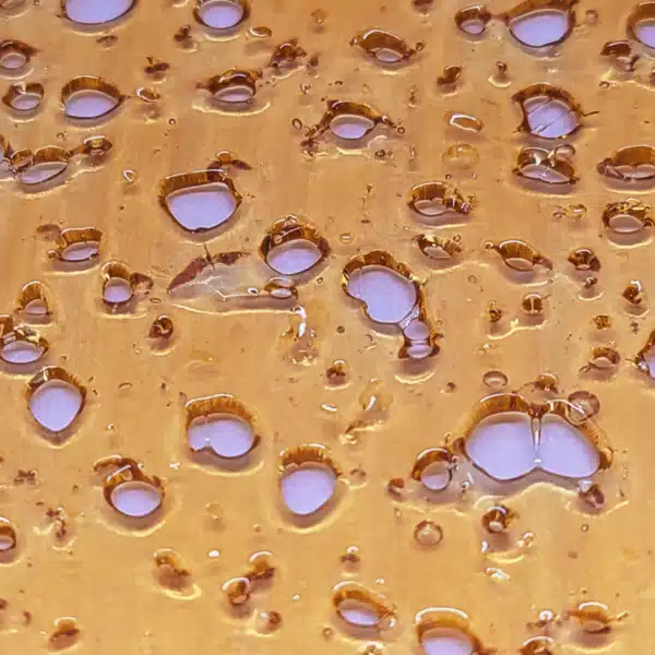 Black Cherry Punch Shatter