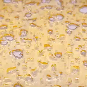 Gelato Shater May 2025