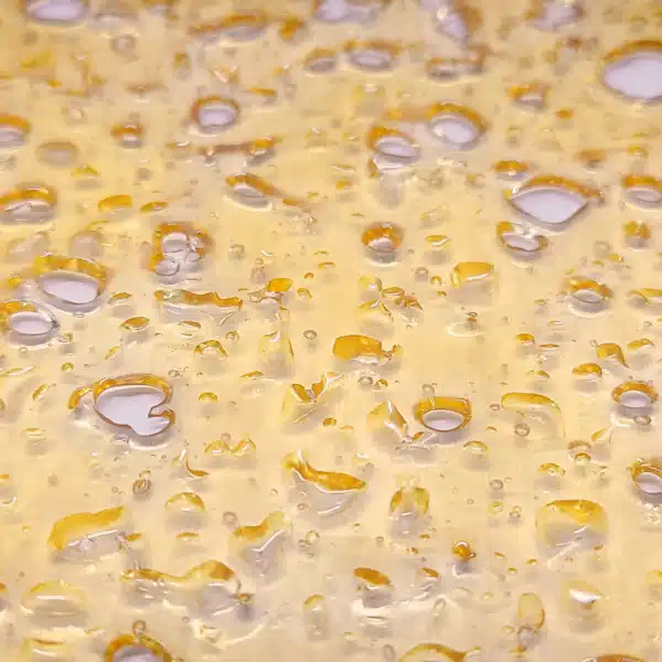 Gelato Shater May 2025