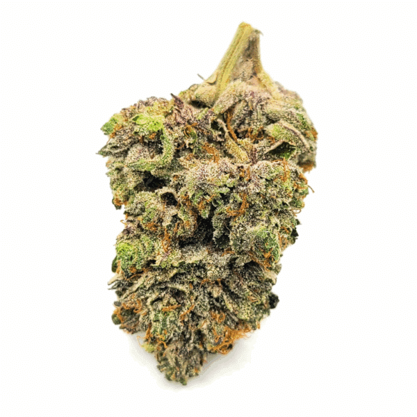 Pre-98 Bubba Product Photo