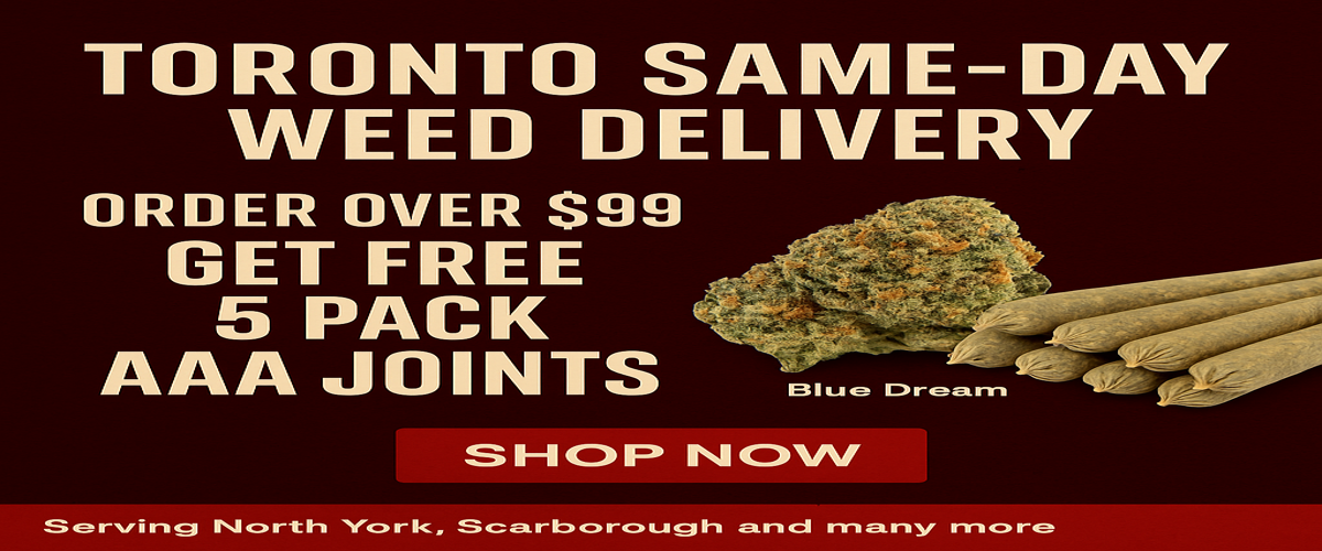 Promotion Banner