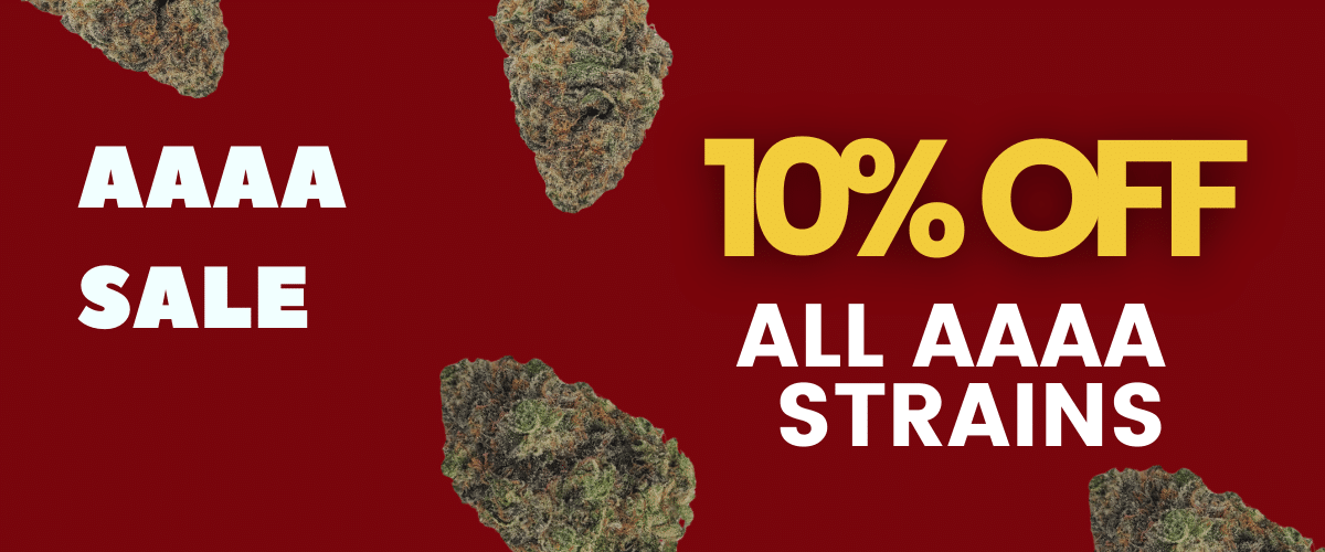 10% off Quads (1)