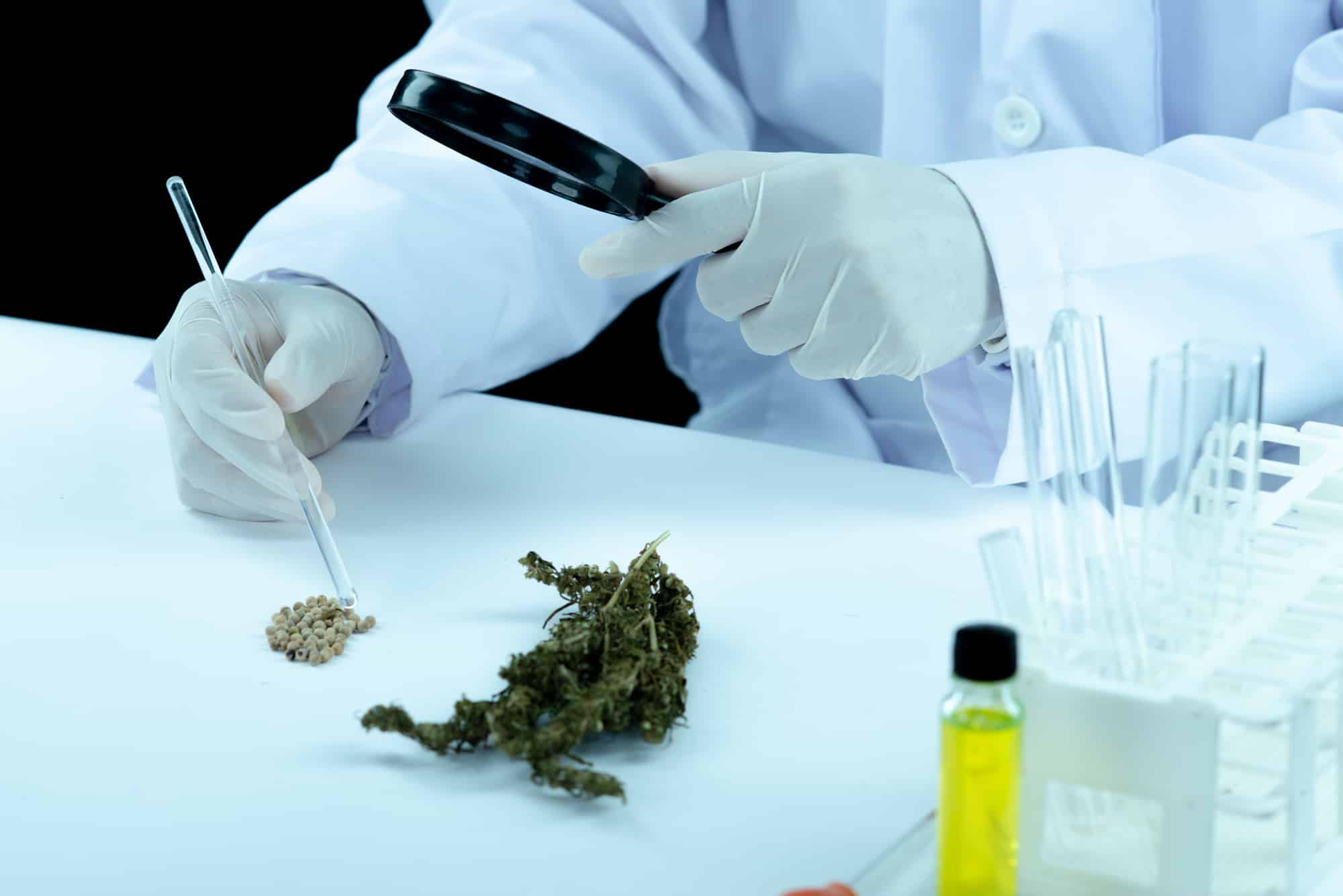 Cannabis Microdosing: What It Is & When to Use It