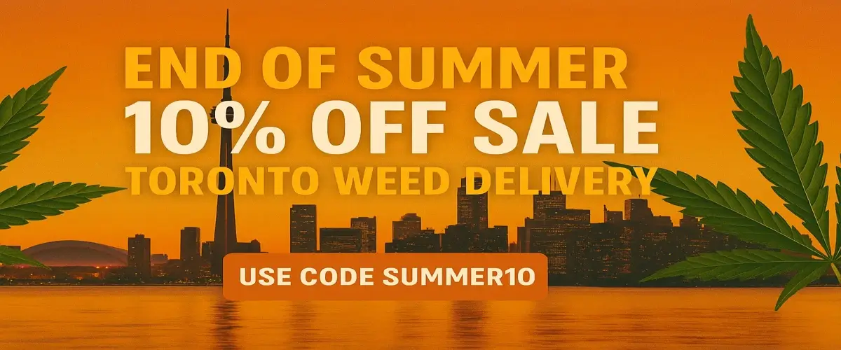 End_of_Summer_Sale_1200x500