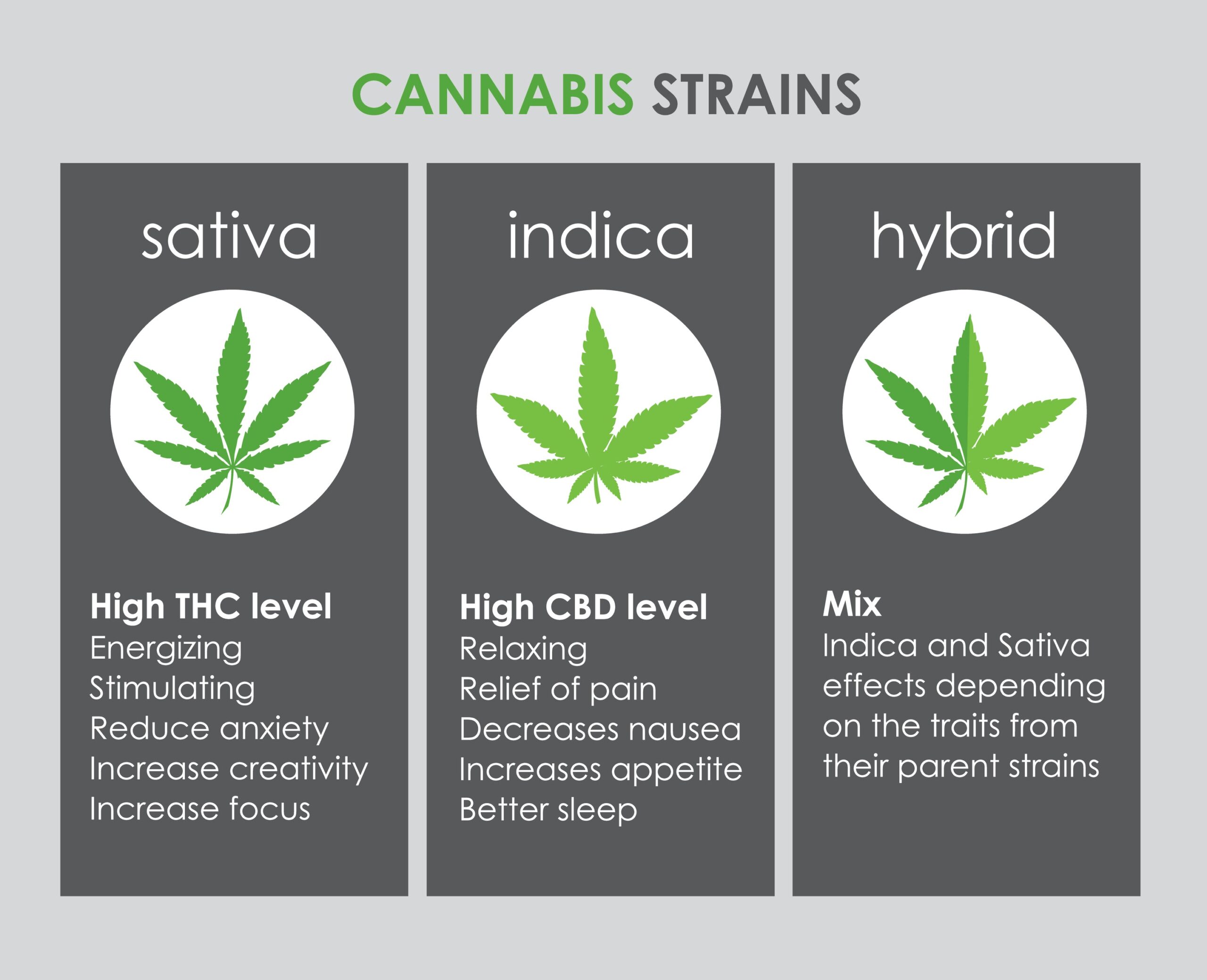 Understanding Sativa, Indica, and Hybrid Strains Differences