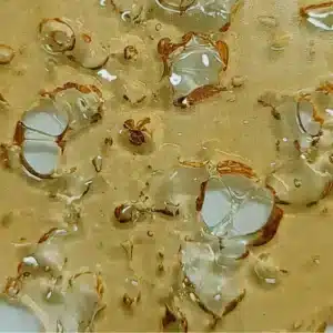 Watermelon Shatter