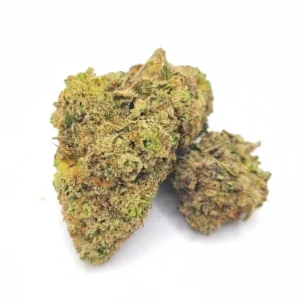 Cream Weed Strain AAA