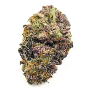 Jet Fuel Gelato AAAA