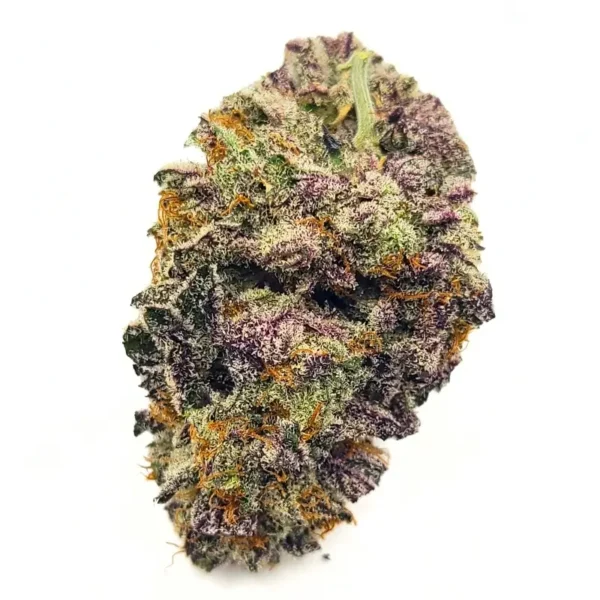 Jet Fuel Gelato AAAA