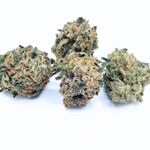 Black Cherry Gelato AA