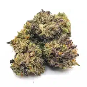 9 Pound Hammer Smalls AAAA