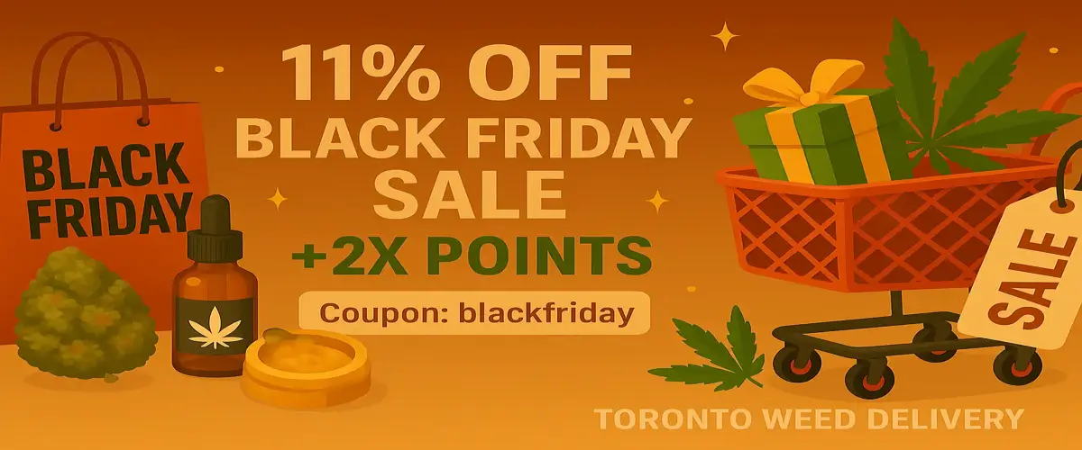 resized_1200x500 (1)