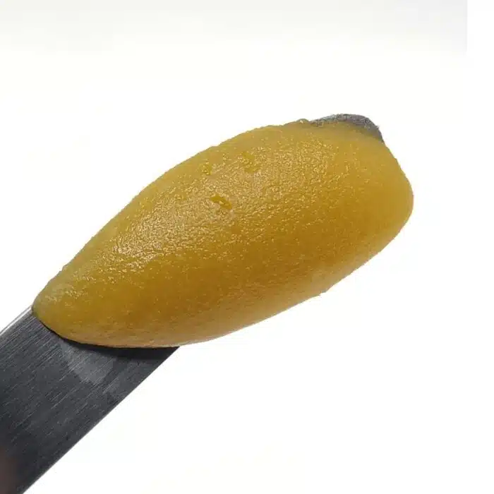 papaya-live-resin Papaya Live Resin
