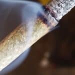 Platinum Pink Smalls AAAA photo review