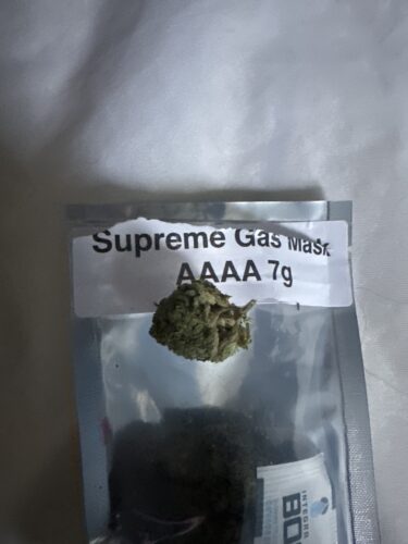 Supreme Gas Mask AAAA photo review