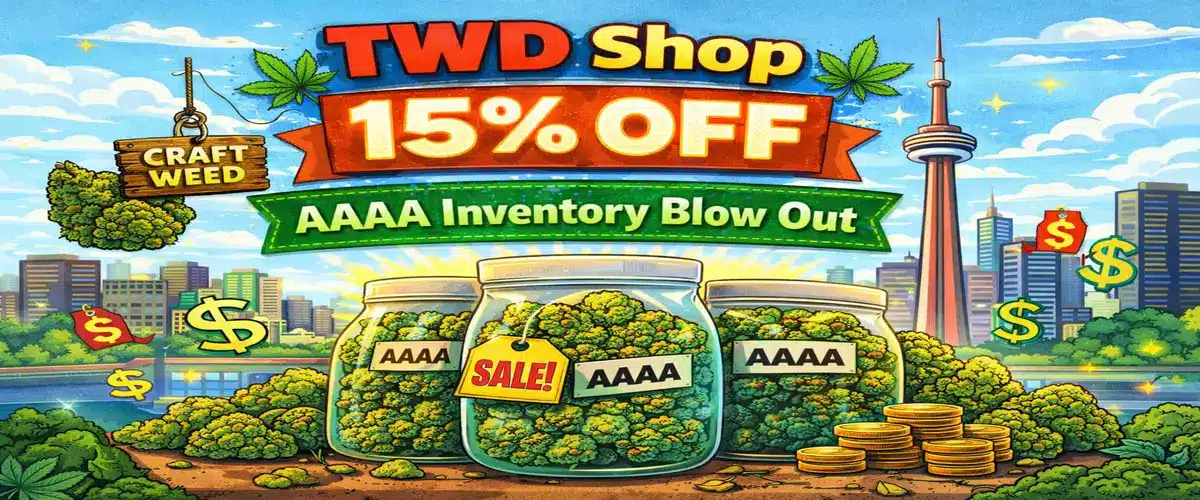 TWD_15_Craft_Blowout_1200x500